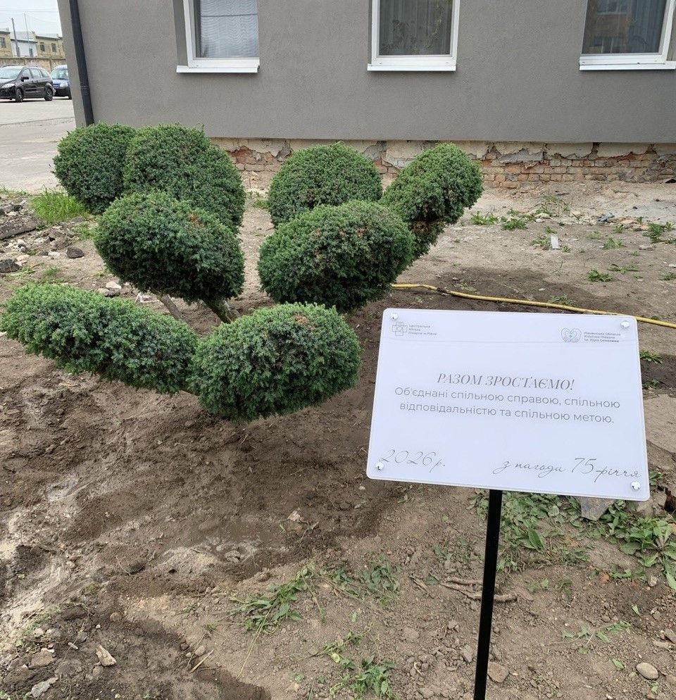Бонсай